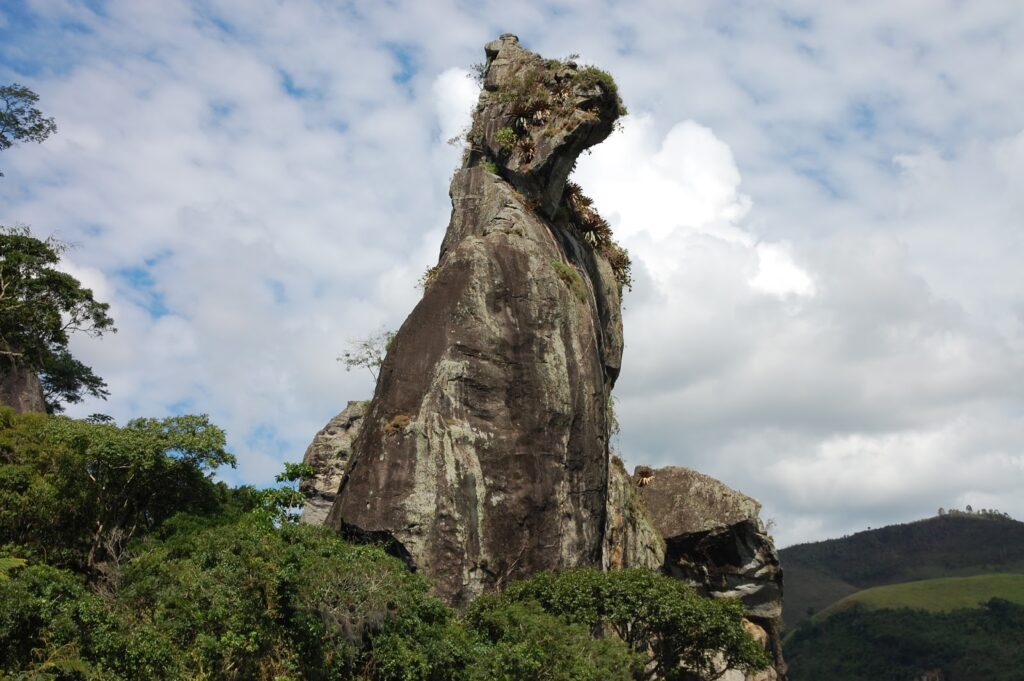 DSC_0725-foto-do-Cao-1024x681 Você sabe o que é Pareidolia?