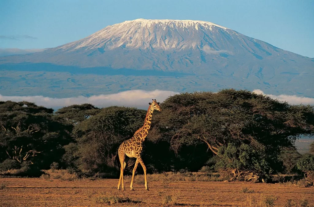 Mount-Kilimanjaro-Tanzania_britannica-1024x676 Como os Vulcões se Formam? Conheça os Maiores Vulcões do Mundo