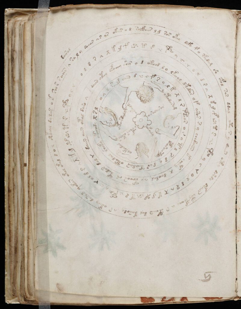 Voynich_Manuscript_114-801x1024 O Enigma do Manuscrito Voynich