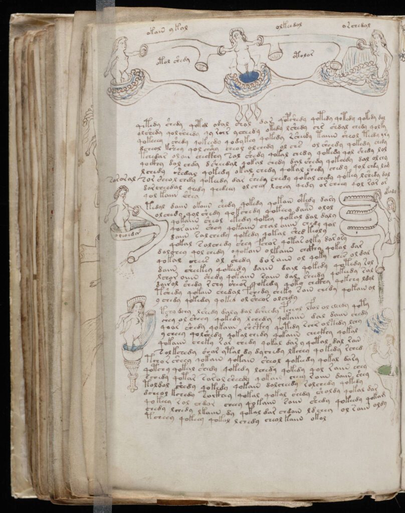 Voynich_Manuscript_140-808x1024 O Enigma do Manuscrito Voynich