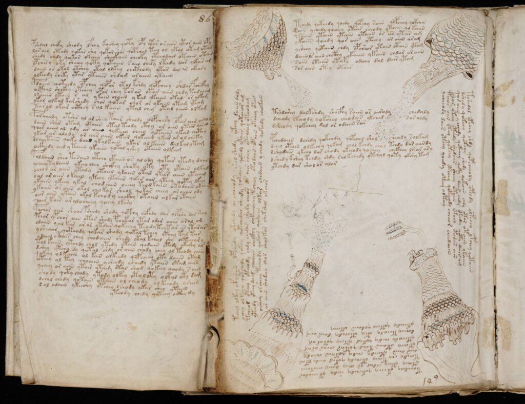 Voynich_Manuscript_157-1024x788 O Enigma do Manuscrito Voynich