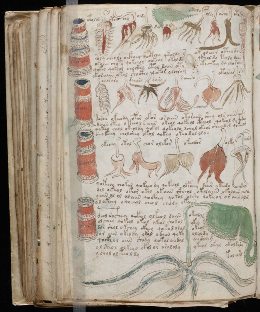 Voynich_Manuscript_176-852x1024 O Enigma do Manuscrito Voynich