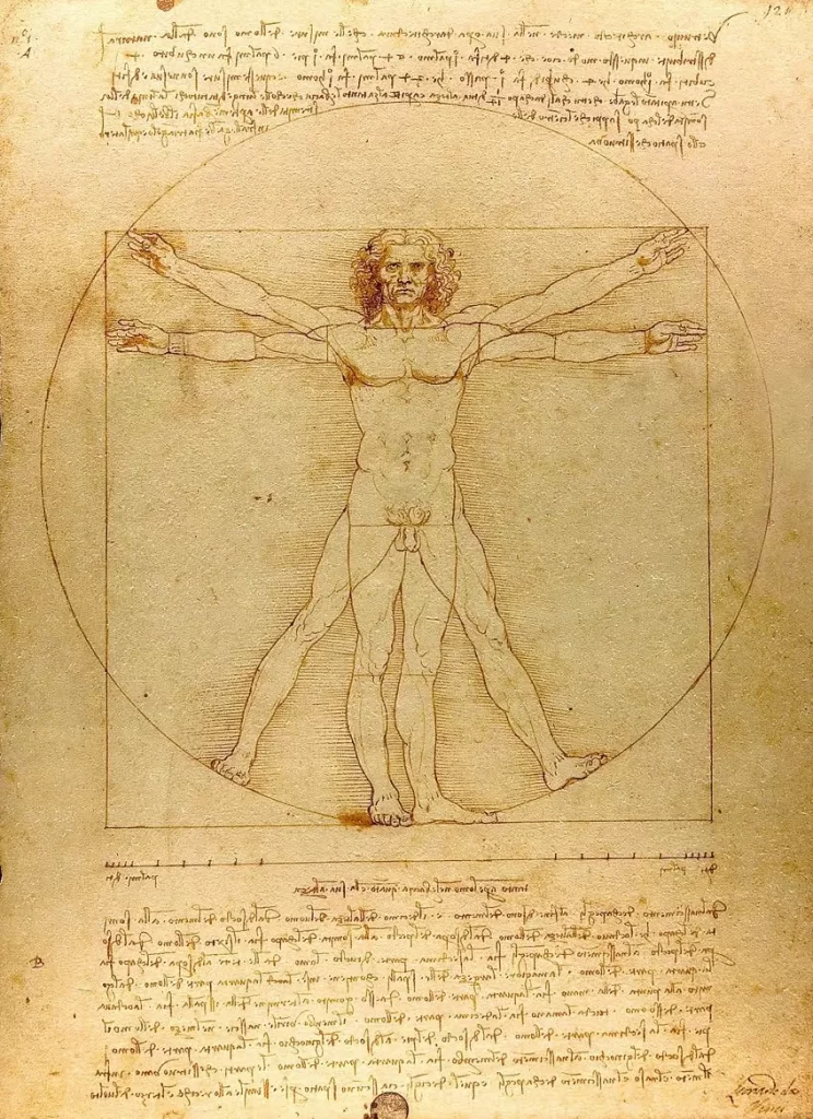 Why-Was-the-Vitruvian-Man-Created-744x1024 Homem Vitruviano: Significado, História e o Impacto Cultural da Obra de Leonardo da Vinci